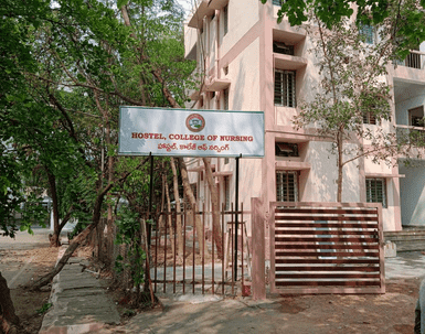 Picture21_optimized_50